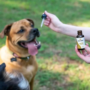 CBD Oil: A Natural Remedy for Canine Anxiety and Pain